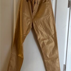 Shiny Gold Pants